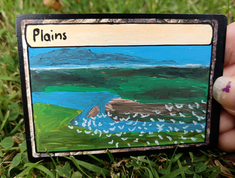Sideways Plains
